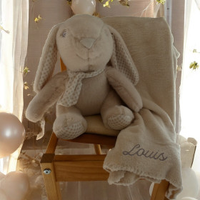 Peluche Lapin poils courts et son Plaid personnalisé peluche chien poil courts  et son plaid beige