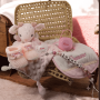 Coffret naissance doudou petit renne Complet personnalisé
